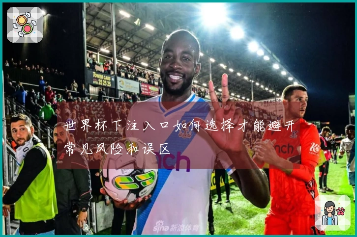 世界杯下注入口如何选择才能避开常见风险和误区
