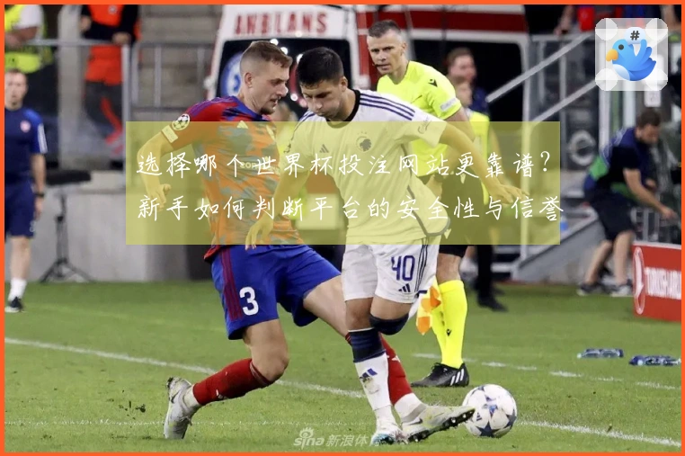 选择哪个世界杯投注网站更靠谱？新手如何判断平台的安全性与信誉度