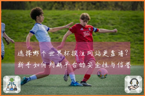 选择哪个世界杯投注网站更靠谱？新手如何判断平台的安全性与信誉度