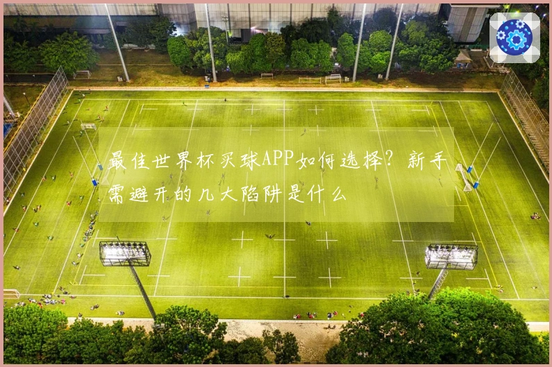 最佳世界杯买球APP如何选择？新手需避开的几大陷阱是什么