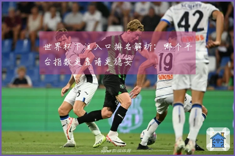 世界杯下注入口排名解析：哪个平台指数更靠谱更稳妥