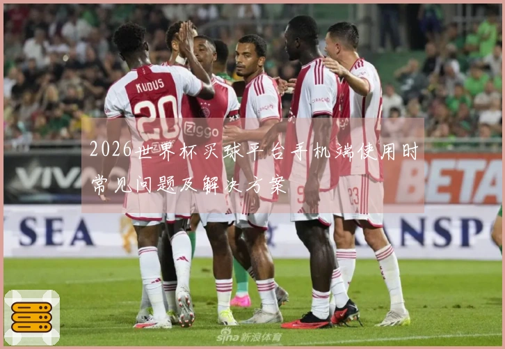 2026世界杯买球平台手机端使用时常见问题及解决方案